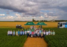 Slc Agr Coladias De Campo Da Slc Sementes Apresentam Novas Cultivares E