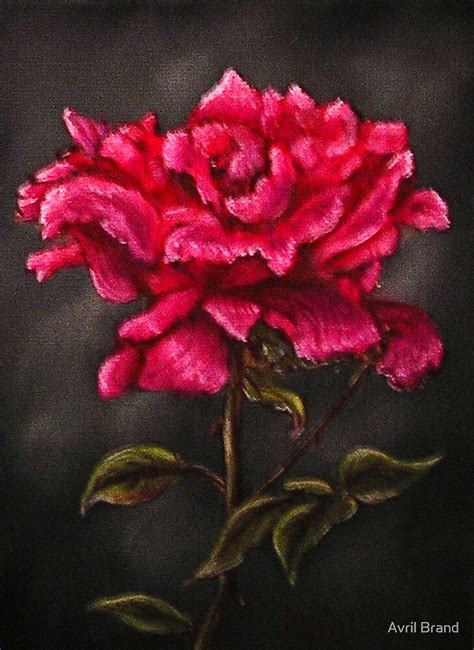 ""Pink Rose" - Oil Painting" by Avril Brand | Redbubble