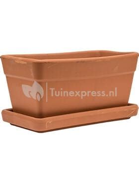 Plantenwinkel Nl Terracotta Pot Rechthoekige Balkonbak S 30x16 Cm Met