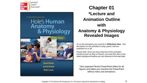 Pdf Powerpoint To Accompany Holes Human Anatomy And Region Right