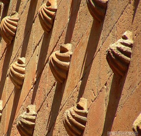 Conchas De La Casa De Las Conchas