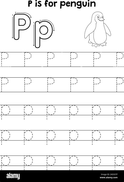 Penguin Animal Tracing Letter ABC Coloring Page P Stock Vector Image