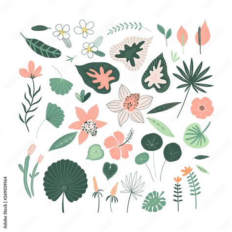 Exotic tropical plant and flowers drawing set isolated on white. Jungle ...