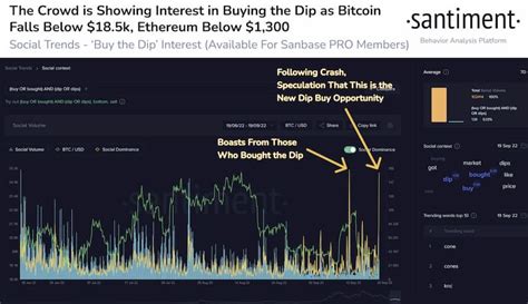 Investors Are In To Buy The Dip As Bitcoin And Ethereum Crash Data