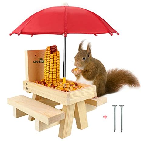 The Best Squirrel Feeder - CatTime