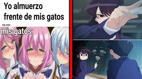 Memes De Anime 37 Memes De Boku No Hero Memes De Nanatsu No Taizai