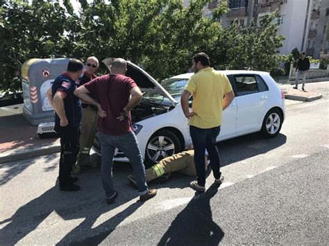 Yavru kedi araç motorunda 45 kilometre yolculuk yaptı Haberler