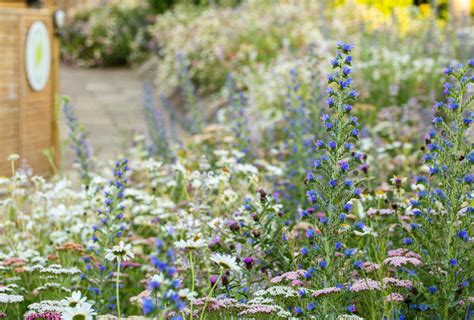 Horatio's Garden Stoke Mandeville Open Tour Day - 16 JUL 2020