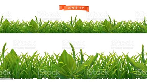 Spring Green Grass 3d Realistic Seamless Vector Pattern Stock Illustration Download Image Now