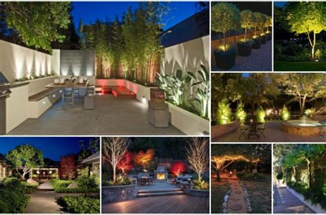 Beautiful Backyard Tree Lighting Ideas That Will Fascinate You - Top ...