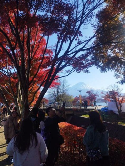 Mount Fuji - Hakone & Onsen Full Day Private Tour | Tokyo Ezine