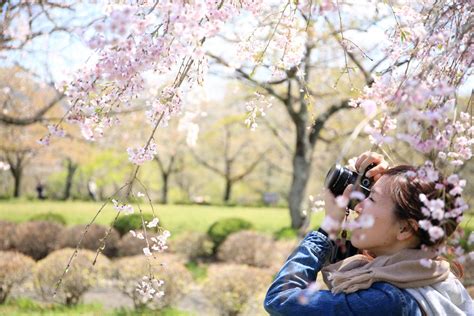 Free Images Nature Branch Person Plant Woman Camera