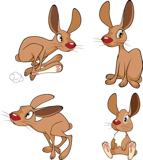 Jackrabbit Illustrations, Royalty-Free Vector Graphics & Clip Art - iStock