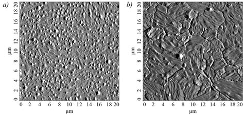 Afm Scan Of Nm Thick Bismuth Film On A Glass Substrate B