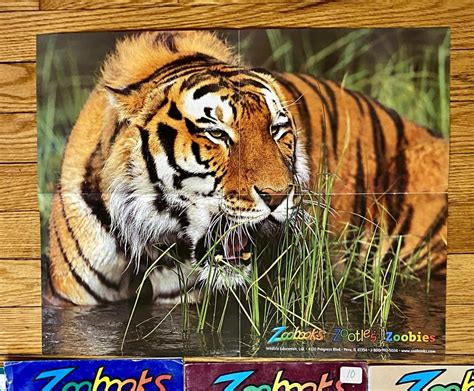 Zoobooks Tiger Poster Rhelpmefind