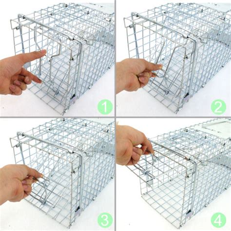 Collapsible Live Animal Trap Cage (For Mouse /Cat/Dog/Fox/Dingo/Rabbit ...