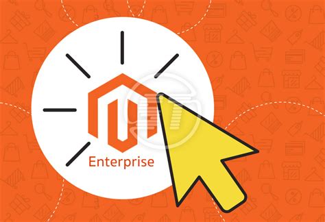 Magento Enterprise Development Skynet Technologies Usa Llc