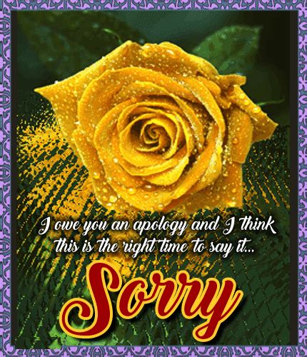 I Owe You An Apology. Free Sorry eCards, Greeting Cards | 123 Greetings