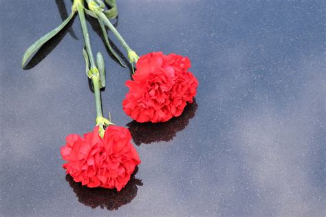 Two Red Carnations Black Marble - Free photo on Pixabay - Pixabay