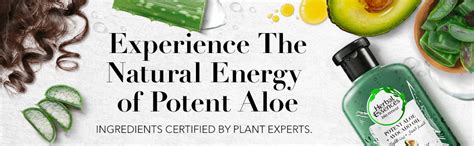 Herbal Essences Sulfate Free Potent Aloe Avocado Oil Hair Conditioner