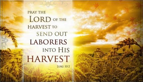 His Still Small Voice I Am Lord Of The Harvest