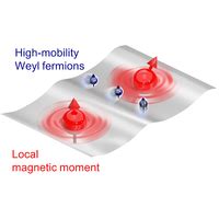 Supplemental Material For Phys Rev X 14 021012 2024 Nernst