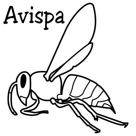 Pinto Dibujos Avispa Para Colorear