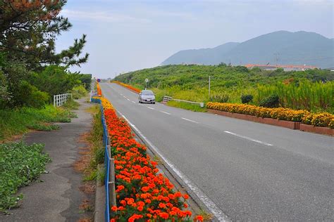 房総フラワーライン 東京湾観光情報局