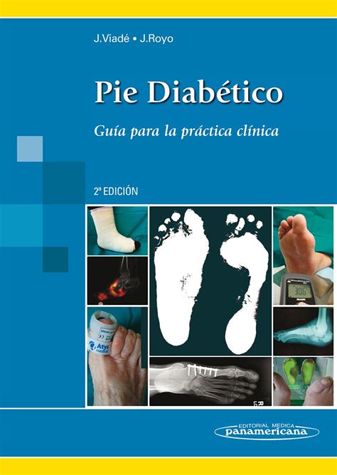 Pie Diabético Guía Para La Práctica Clínica