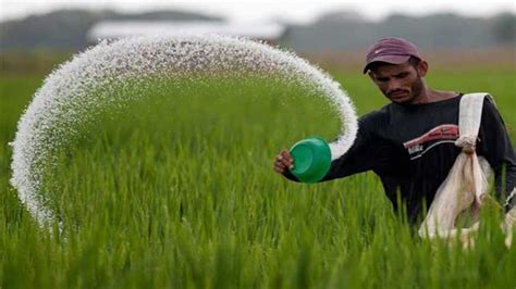 Rs 65 000 Crore Fertiliser Subsidy To Benefit Next Year Kharif Sowing