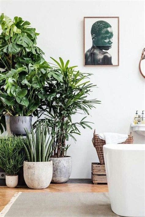 Pin by Yana S on interior | Interior plants, Indoor garden, Indoor plants