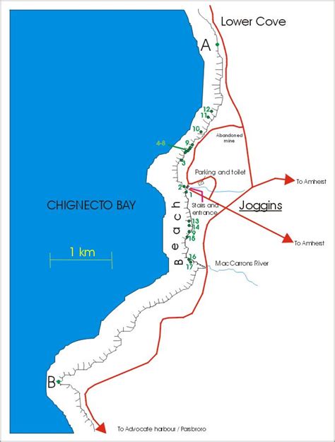 A Study Of The Cliffs Of Joggins Part I Ianjuby