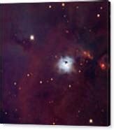 Nebula Ngc 1999 And Bok Globule Photograph By Robert Gendler Jim