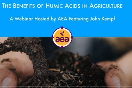 The Benefits Of Humic Substances In Agriculture Premium Humic Acid