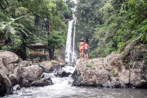 Gitgit Waterfall In Bali A Complete Guide Bali Waterfalls Bali