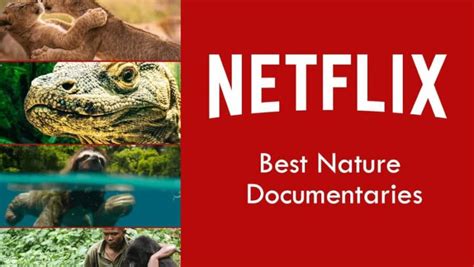 Best Nature Documentaries On Netflix In 2019 What S On Netflix