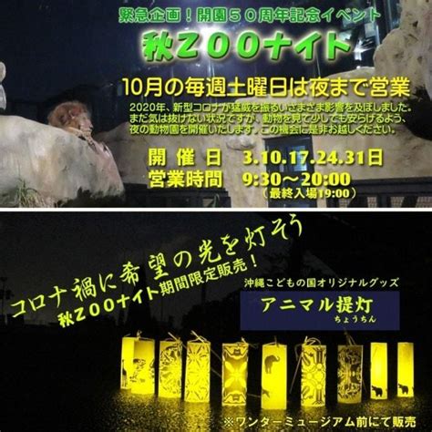 夜の動物園「秋zooナイト」（沖縄県）の観光イベント情報｜ゆこゆこ