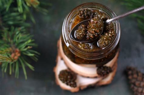 Варенье из сосновых шишек: пошаговый рецепт с фото | Меню недели