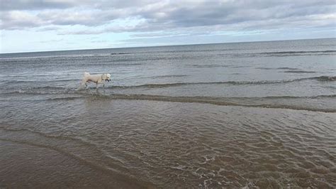 Seaton Carew Beach Hartlepool England Top Tips Before You Go