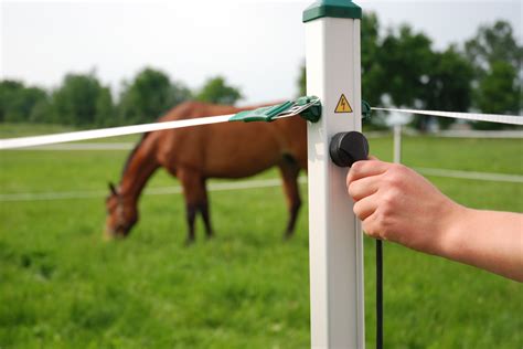 Electric Fence By Roflexs Uk Fencing Products Electric Fence By Roflexs Uk