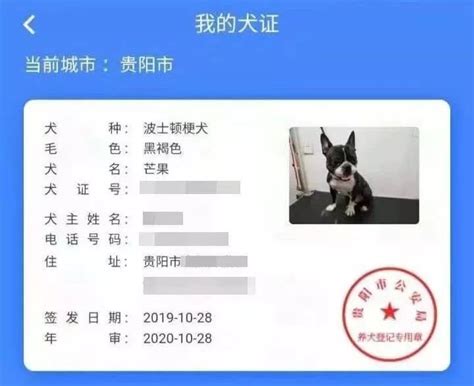 禁养犬可以办狗证吗？（附禁养犬名单） 本地宝