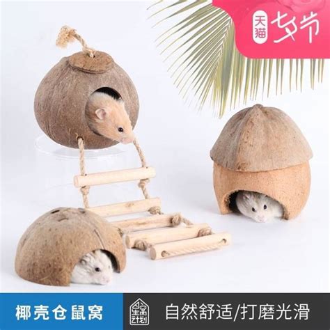 Hamster Nest Coconut Shell Charcoal Shelter Summer Cooling Cage