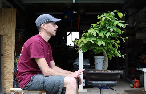 An Artful Approach to Bonsai Design - The North Carolina Arboretum