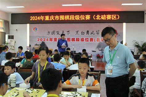 2024年重庆市围棋段级位赛（北碚赛区）在北碚区凤林小学举行中国网