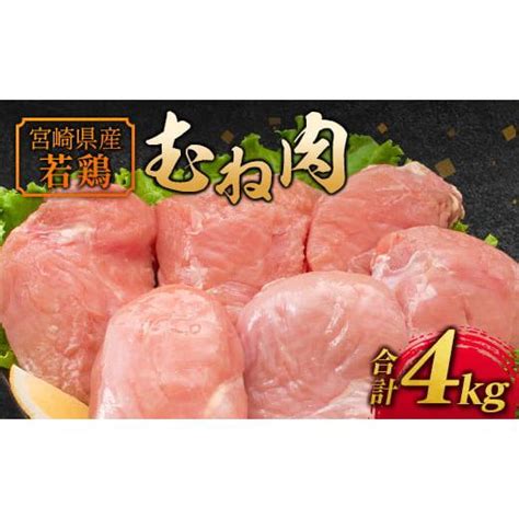 ふるさと納税 宮崎県 新富町 若鶏むね肉 4kg（2kg×2パック）宮崎県産 鶏肉【a221】 4997304ふるさとチョイス 通販