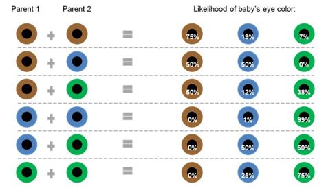 eye color gene probability chart writing pinterest - the origin of ...