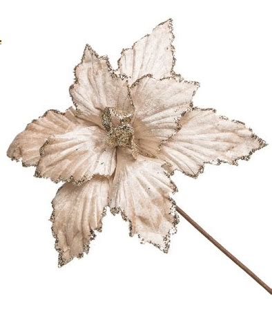 Flor Nude Cm Fl Ch Em Curitiba Pr Sete Embalagens