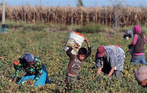 Mujeres migrantes y Jornaleros agrícolas Tlachinollan Centro de