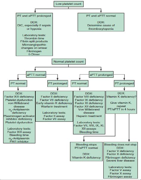 Differential Diagnosis of Bleeding Disorders (4) | Download Scientific ...