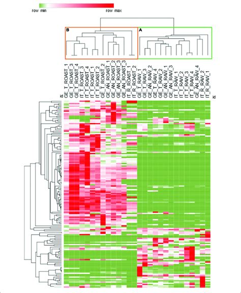 Hierarchical Clustering Based Pearson S Correlation For Raw B And Download Scientific